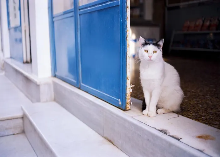 Endearing Naxos Quadruple Private Balcony Center *